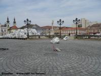 Imagine atasata: Reabilitare centru - 2015.05.17 - 14.jpg